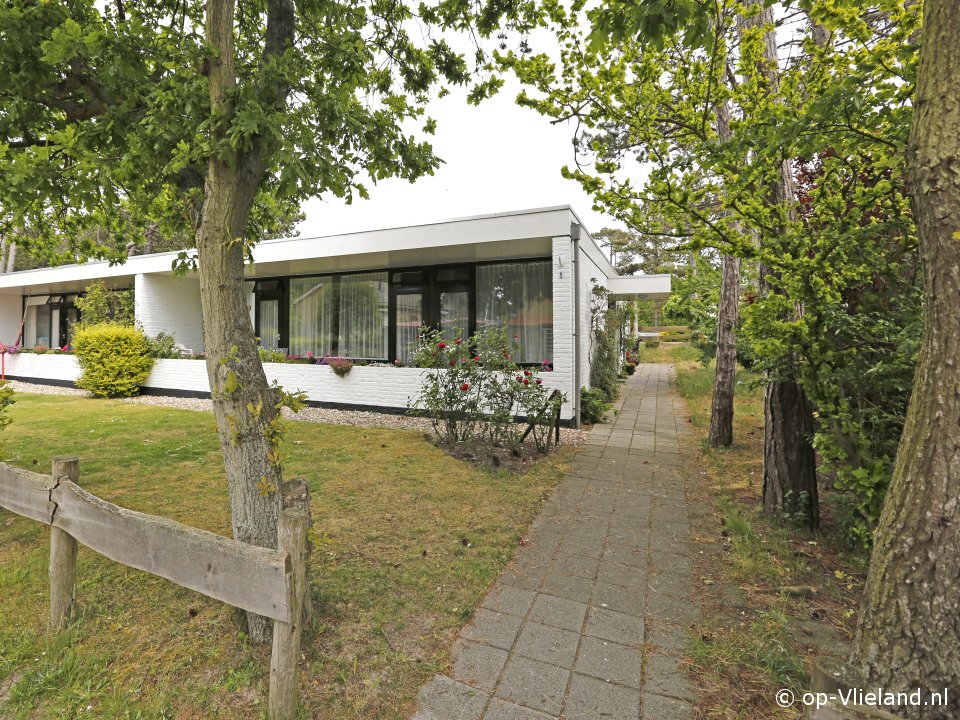 Buitenaanzicht Houtsnip Buitenaanzicht Houtsnip